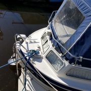 18643523_10154590659501439_2068345658_n-medium