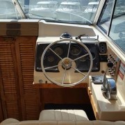 13295122_10153615907446439_530834225_n