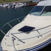 13318550_10153615900861439_1814350341_n (Medium)