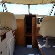 13336232_10153615907531439_1762408231_n (Medium)