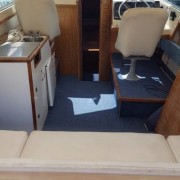 13342142_10153615907571439_794891395_n (Medium)