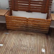 14045393_10153810332011439_1010844071_o (Medium)