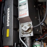 14113816_10153810333196439_1524354972_o (Medium)