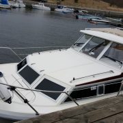 17976167_10154501792211439_542608012_o-medium